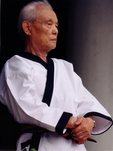 Great grandmaster hwang kee